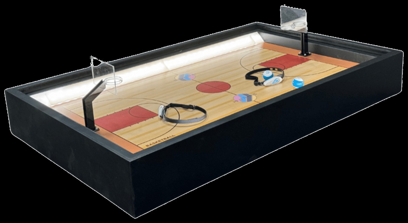Mind Basketball